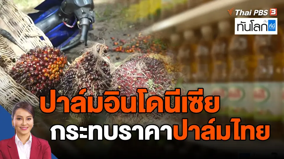 ASEAN Connect : ปาล์มอินโดนีเซียกระทบราคาปาล์มไทย