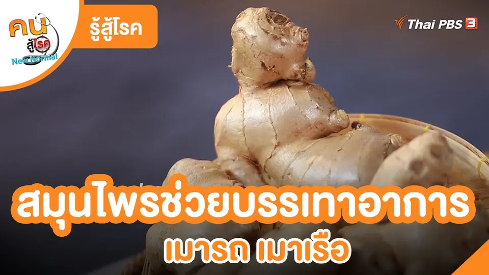รู้สู้โรค : สมุนไพรช่วยบรรเทาอาการ เมารถ เมาเรือ