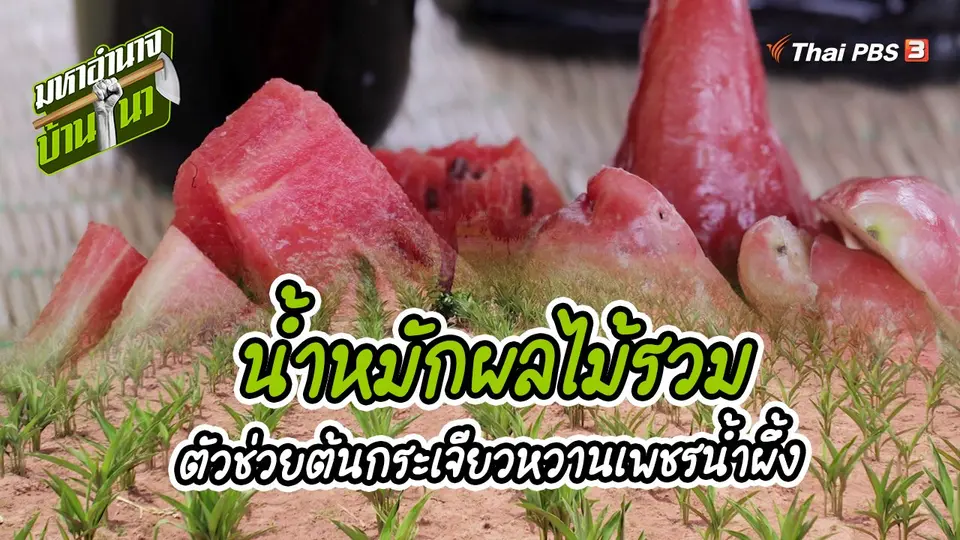 ​สูตรลับฉบับบ้านนา : น้ำหมักผลไม้รวม