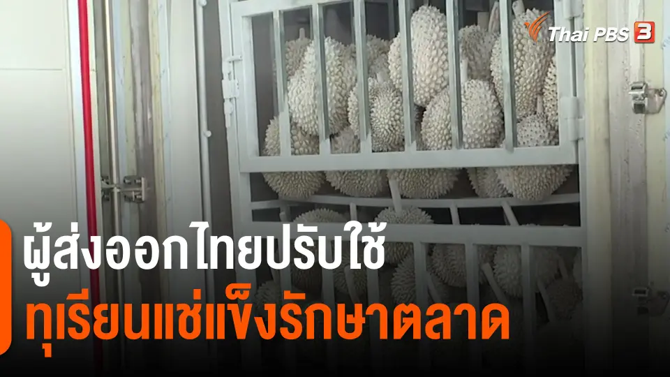 ​กิน อยู่ รู้ รอบ : ผู้ส่งออกไทยปรับใช้ทุเรียนแช่แข็งรักษาตลาด