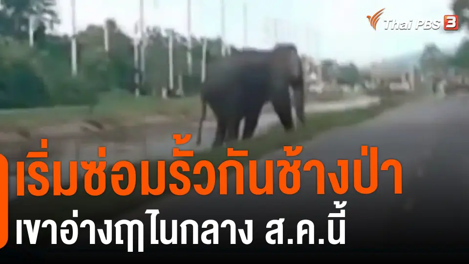 ​เริ่มซ่อมรั้วกันช้างป่าเขาอ่างฤาไนกลาง ส.ค.นี้