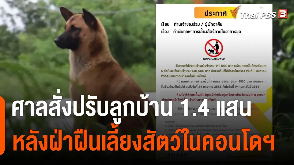 ศาลสั่งปรับลูกบ้าน 1.4 แสน หลังฝ่าฝืนเลี้ยงสัตว์ในคอนโดฯ