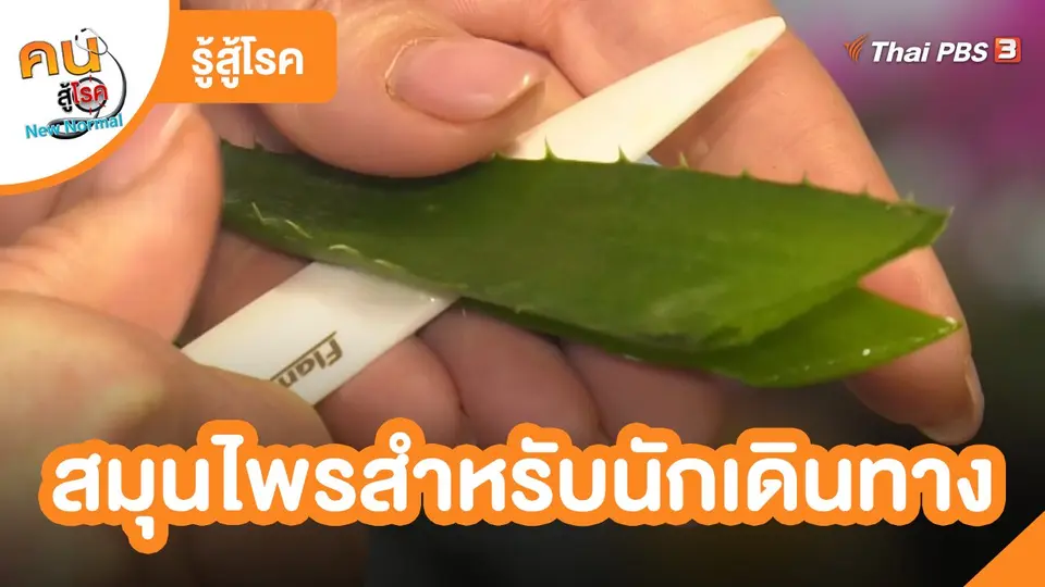 ​รู้สู้โรค : สมุนไพรสำหรับนักเดินทาง