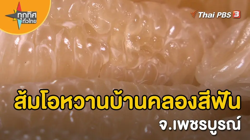 อาชีพทั่วไทย  ส้มโอหวานบ้านคลองสีฟัน จ.เพชรบูรณ์.mp4