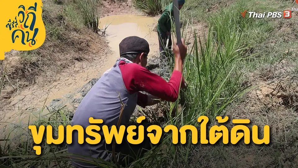 ขุมทรัพย์จากใต้ดิน