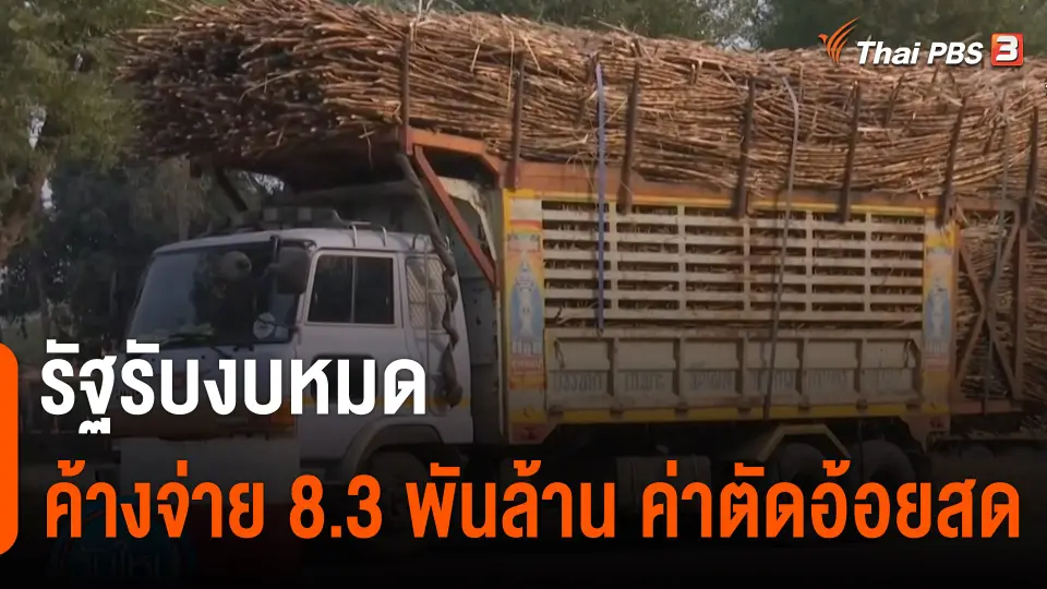 กินอยู่รู้รอบ : รัฐรับงบหมด ค้างจ่ายค่าตัดอ้อยสด 8,300 ล้านบาท