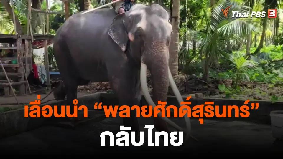 ​เลื่อนนำ "พลายศักดิ์สุรินทร์" กลับไทย