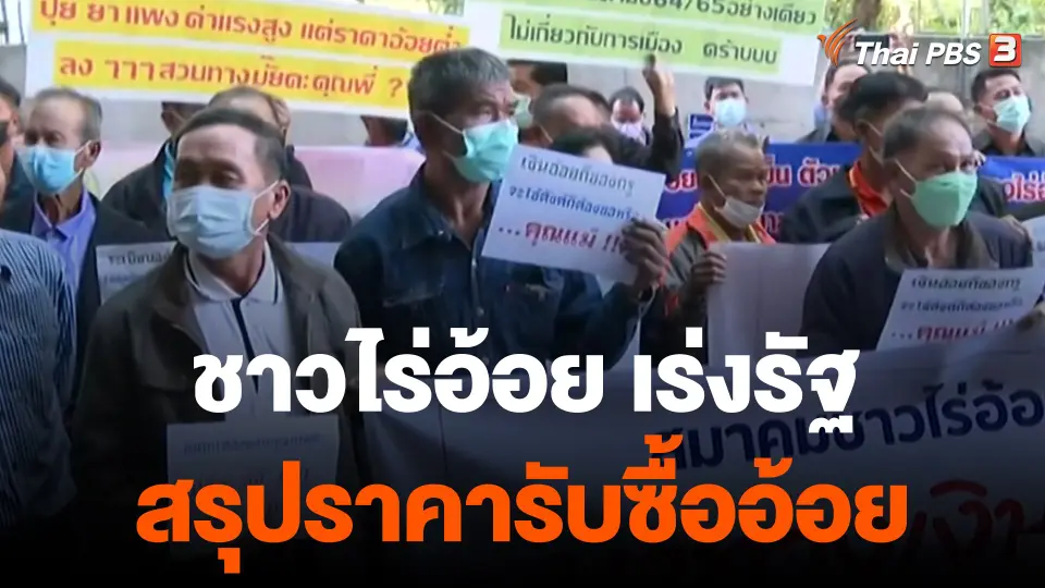 จับสัญญาณเศรษฐกิจ : ชาวไร่อ้อย เร่งรัฐสรุปราคารับซื้ออ้อย