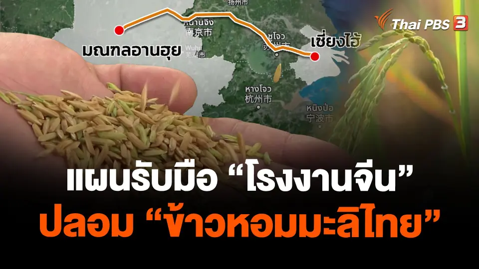 ​แผนรับมือ "โรงงานจีน" ปลอม "ข้าวหอมมะลิไทย"