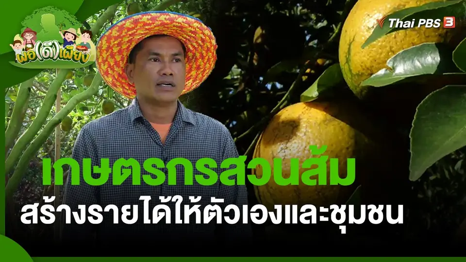 ​พอดีพอเพียง : เกษตรกรสวนส้ม สร้างรายได้ให้ตัวเองและชุมชน