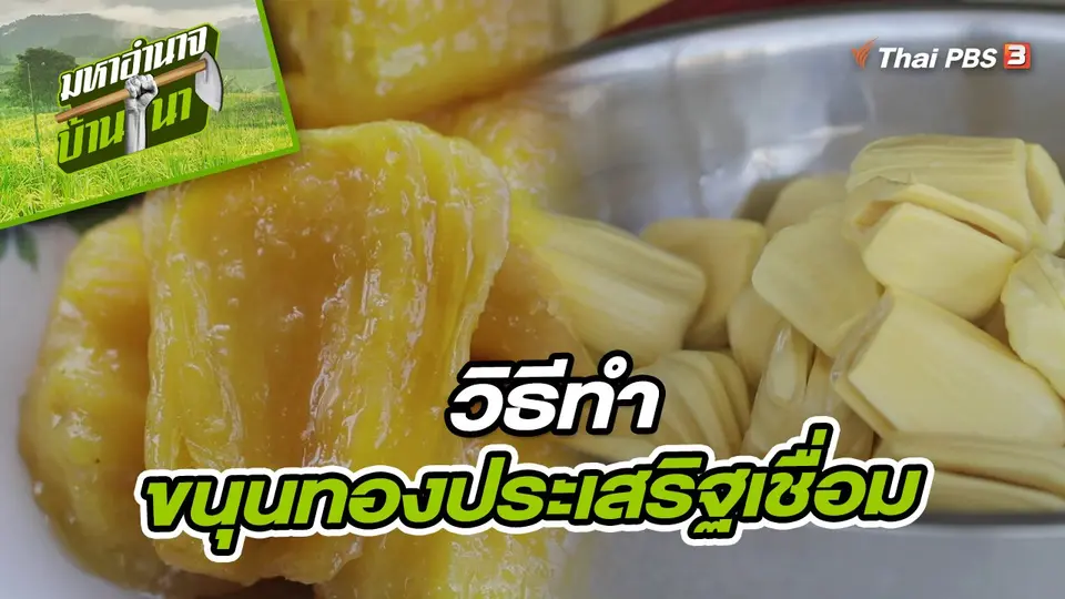 ​สูตรลับฉบับบ้านนา : วิธีทำขนุนทองประเสริฐเชื่อม