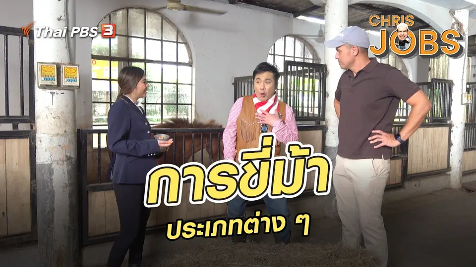 สาระน่ารู้จาก Chris Jobs : การขี่ม้าประเภทต่าง ๆ