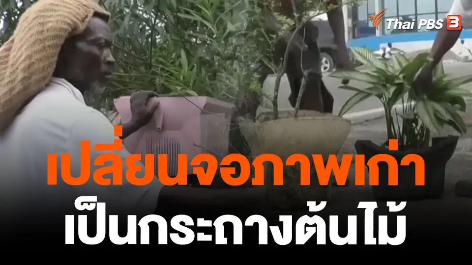 เปลี่ยนจอภาพเก่าเป็นกระถางต้นไม้