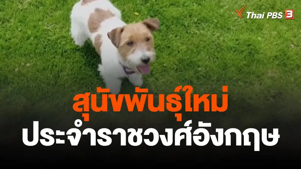 สุนัขพันธุ์ใหม่ ประจำราชวงศ์อังกฤษ
