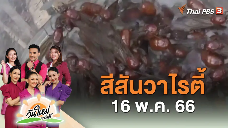 สีสันวาไรตี้ (16 พ.ค. 66)