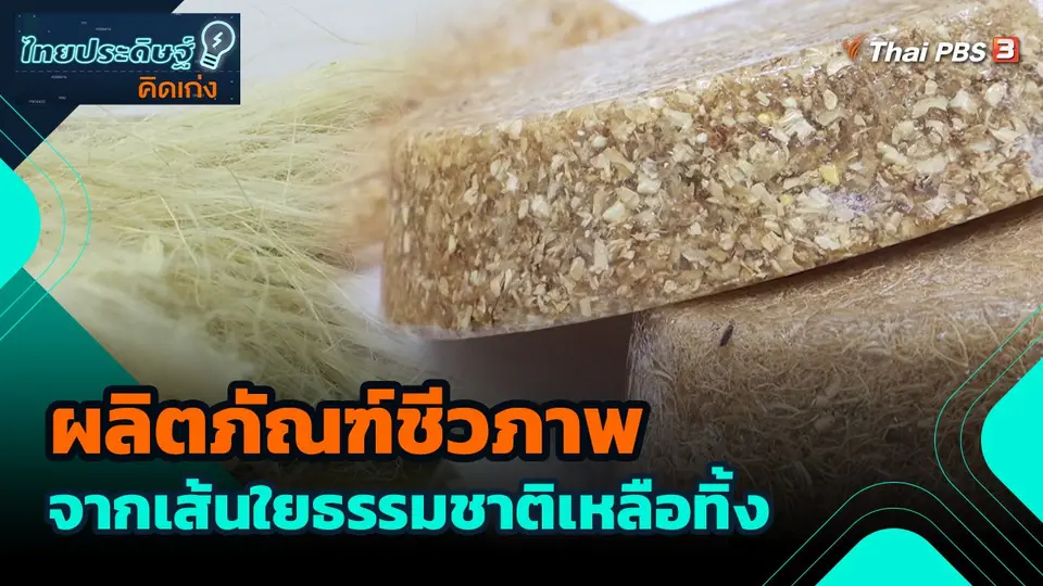 ผลิตภัณฑ์ชีวภาพ จากเส้นใยธรรมชาติเหลือทิ้ง