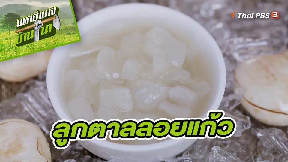 สูตรลับฉบับบ้านนา : ลูกตาลลอยแก้ว