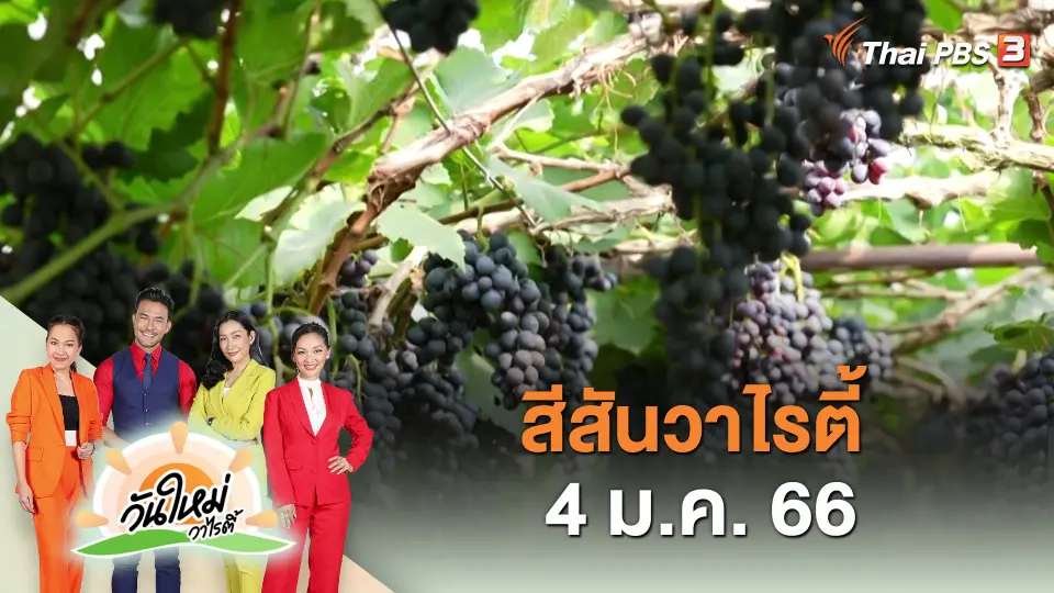 สีสันวาไรตี้ (4 ม.ค. 66)