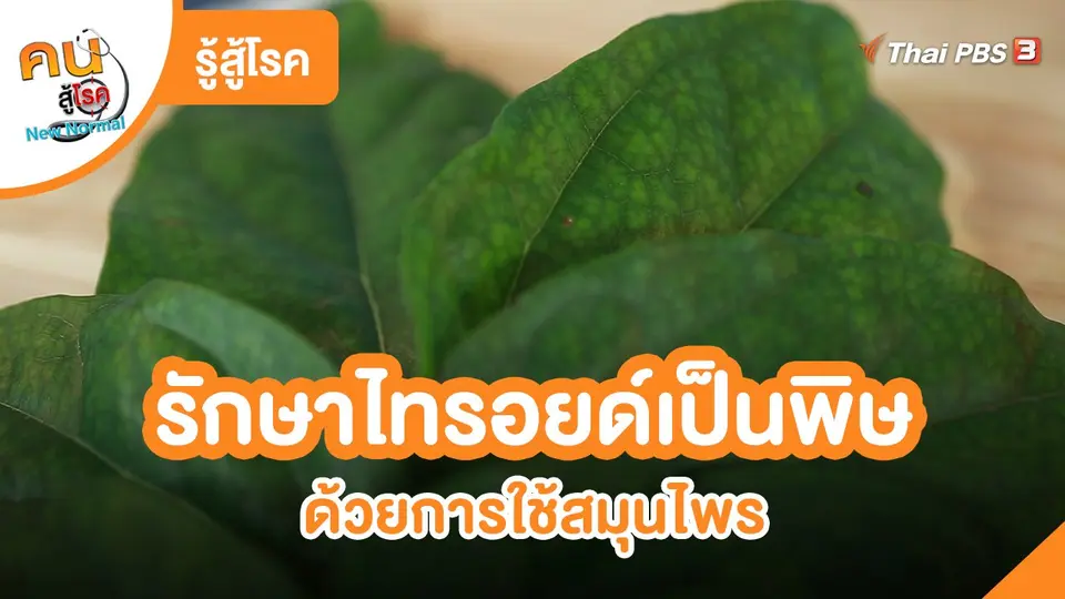 ​รู้สู้โรค : รักษาอาการไทรอยด์เป็นพิษด้วยการใช้สมุนไพร