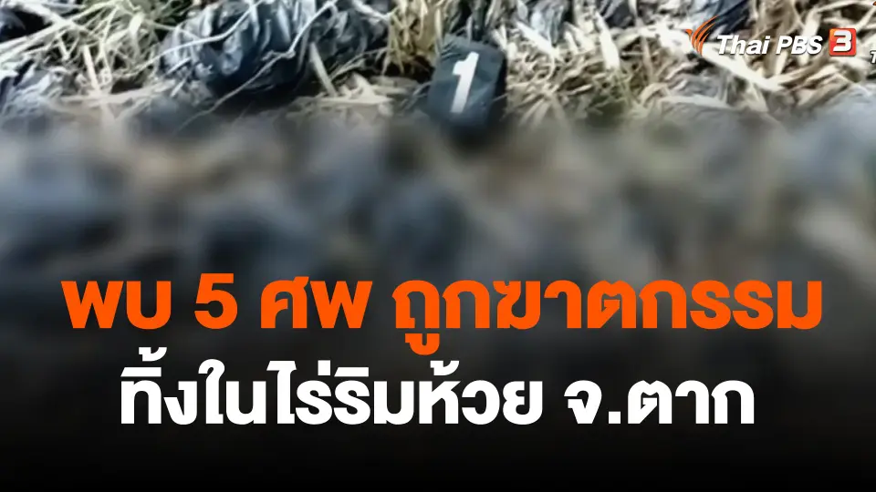 พบ 5 ศพ ถูกฆาตกรรม ทิ้งในไร่ริมห้วย จ.ตาก