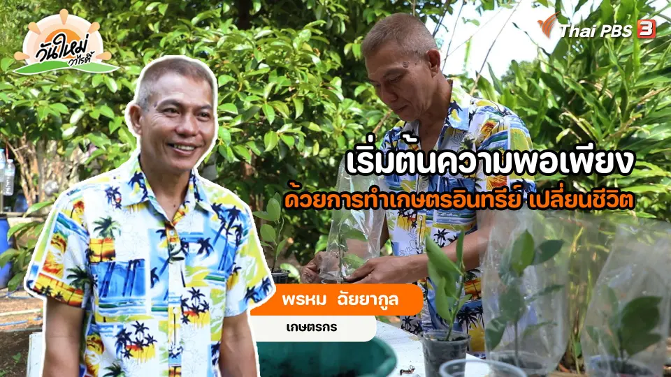 พอดีพอเพียง : เริ่มต้นความพอเพียง ด้วยเกษตรอินทรีย์ เปลี่ยนชีวิต
