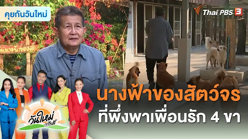 คุยกันวันใหม่ : นางฟ้าของสัตว์จร ที่พึ่งพาเพื่อนรัก 4 ขา