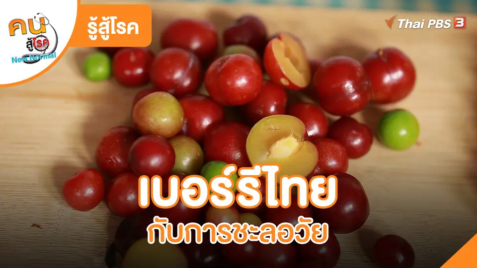 รู้สู้โรค : เบอร์รีไทยกับการชะลอวัย