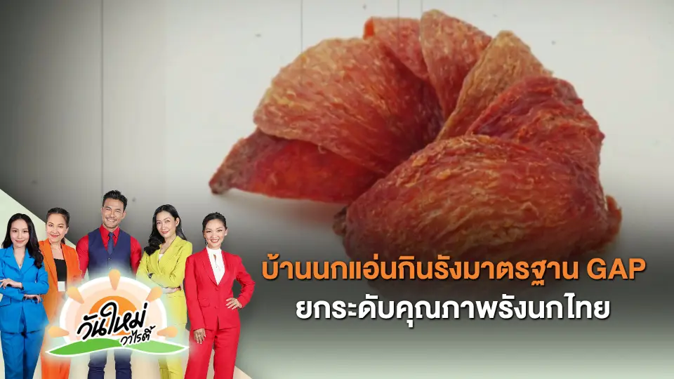 ​ไทยประดิษฐ์คิดเก่ง : บ้านนกแอ่นกินรังมาตรฐาน GAP ยกระดับคุณภาพรังนกไทย เพิ่มโอกาสการส่งออกจีน