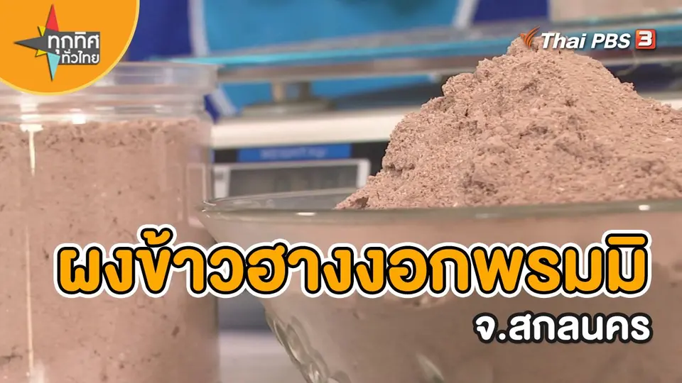 อาชีพทั่วไทย : ผงข้าวฮางงอกพรมมิ จ.สกลนคร
