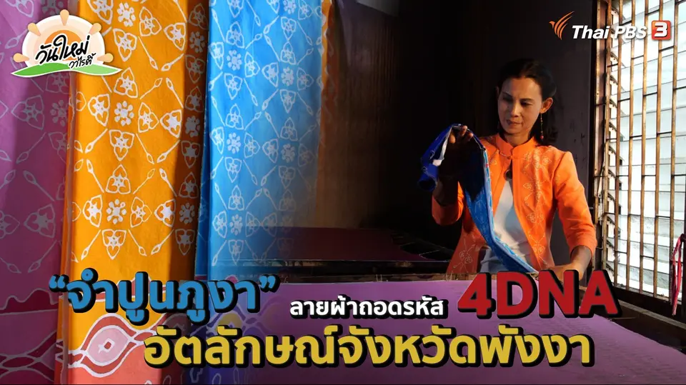 จำปูนภูงา ลายผ้าถอดรหัส 4DNA อัตลักษณ์จังหวัดพังงา