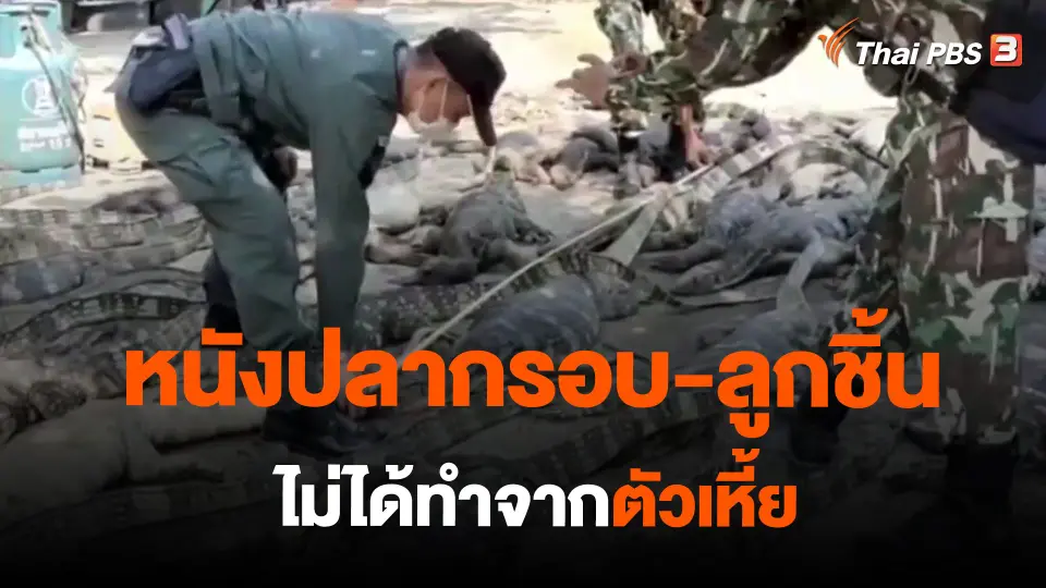 ​หนังปลากรอบ-ลูกชิ้น ไม่ได้ทำจากตัวเหี้ย
