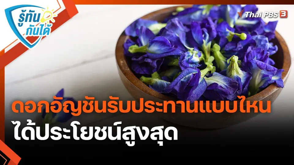 ดอกอัญชันรับประทานแบบไหนได้ประโยชน์สูงสุด