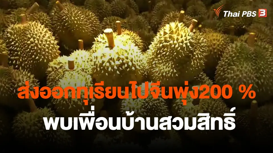 ​ส่งออกทุเรียนไปจีนพุ่ง200 % - พบเพื่อนบ้านสวมสิทธิ์