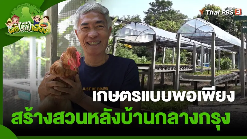​พอดีพอเพียง : เกษตรแบบพอเพียง สร้างสวนหลังบ้านกลางกรุง