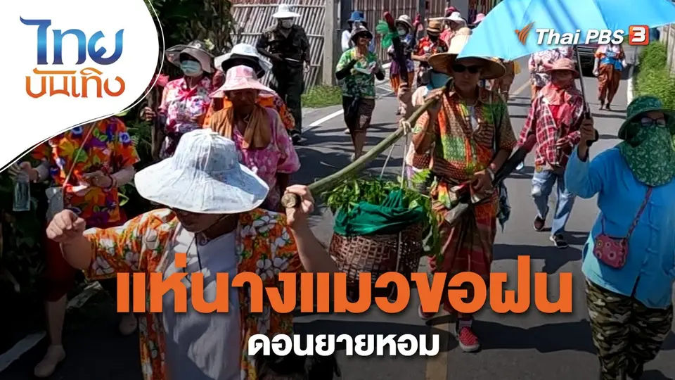 เรื่องนี้มีตำนาน : แห่นางแมวขอฝนแห่งบ้านดอนยายหอม
