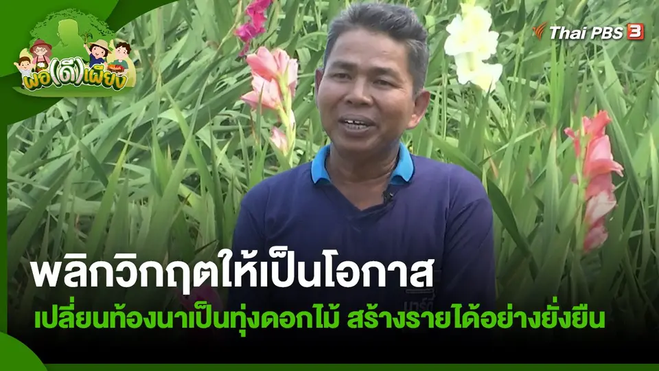 พลิกวิกฤตให้เป็นโอกาส เปลี่ยนท้องนาเป็นทุ่งดอกไม้ สร้างรายได้อย่างยั่งยืน
