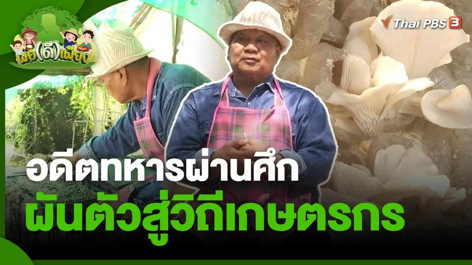 พอดีพอเพียง : อดีตทหารผ่านศึกผันตัวสู่วิถีเกษตรกร จ.พระนครศรีอยุธยา