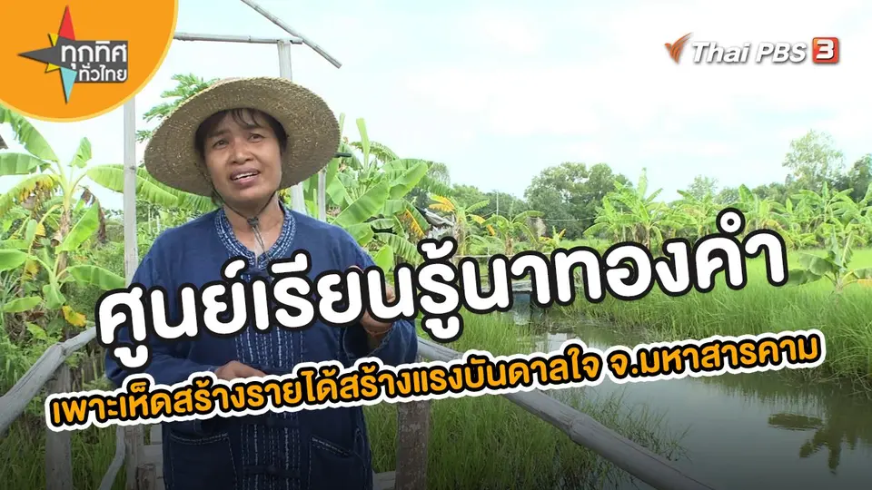 อาชีพทั่วไทย : ศูนย์เรียนรู้นาทองคำ เพาะเห็ดสร้างรายได้สร้างแรงบันดาลใจ จ.มหาสารคาม