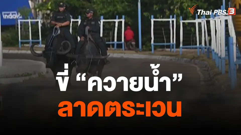 ขี่ "ควายน้ำ" ลาดตระเวน