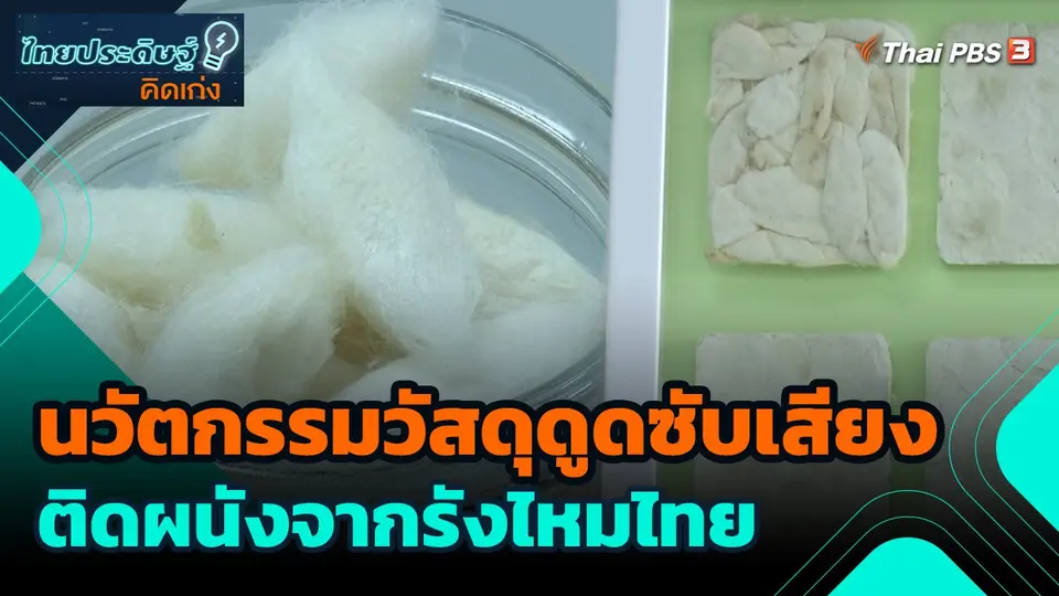 นวัตกรรมวัสดุดูดซับเสียงติดผนังจากรังไหมไทย