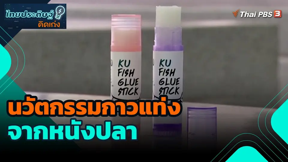 ​ไทยประดิษฐ์คิดเก่ง : นวัตกรรมกาวแท่งจากหนังปลา