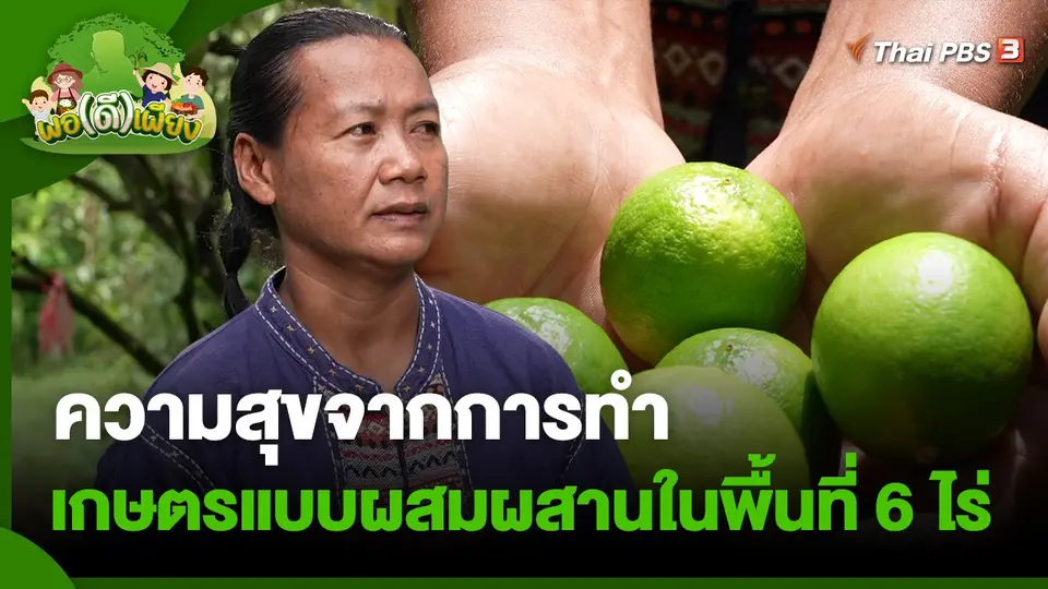 ​พอดีพอเพียง : ความสุขจากการทำเกษตรแบบผสมผสานในพื้นที่ 6 ไร่