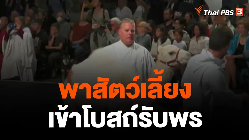 ​พาสัตว์เลี้ยงเข้าโบสถ์รับพร
