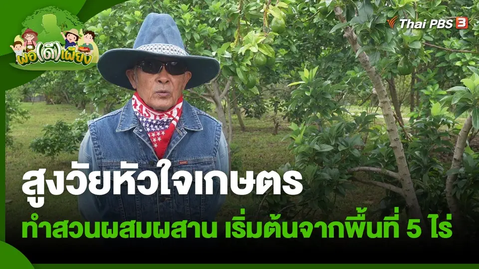 ​พอดีพอเพียง : สูงวัยหัวใจเกษตรทำสวนผสมผสาน เริ่มต้นจากพื้นที่ 5 ไร่