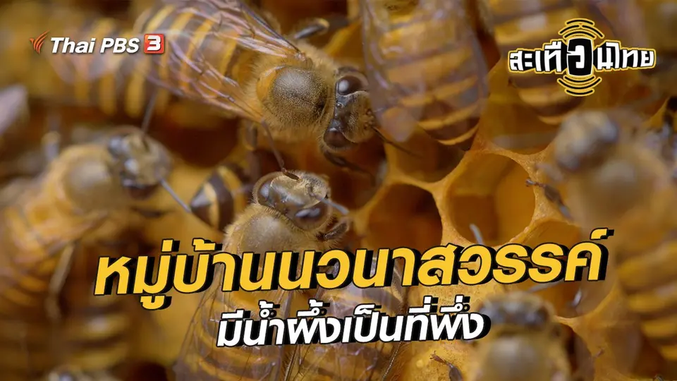 นักสร้างความเปลี่ยนแปลง : หมู่บ้านนวนาสวรรค์ มีน้ำผึ้งเป็นที่พึ่ง