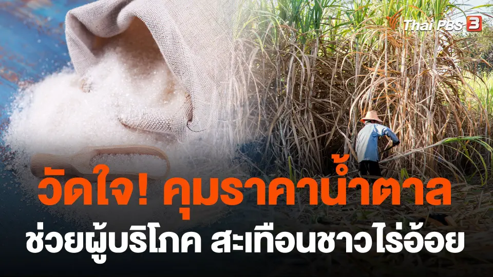 วัดใจ! คุมราคาน้ำตาลช่วยผู้บริโภค สะเทือนชาวไร่อ้อย