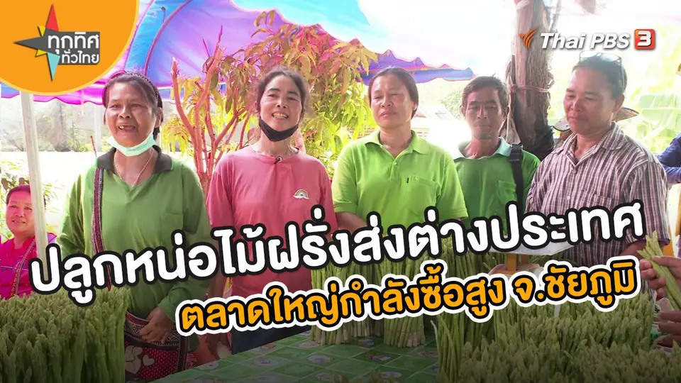อาชีพทั่วไทย : ปลูกหน่อไม้ฝรั่งส่งต่างประเทศ ตลาดใหญ่กำลังซื้อสูง จ.ชัยภูมิ