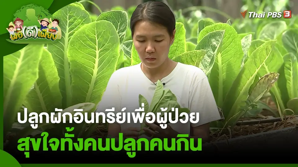 ปลูกผักอินทรีย์เพื่อผู้ป่วย สุขใจทั้งคนปลูกคนกิน