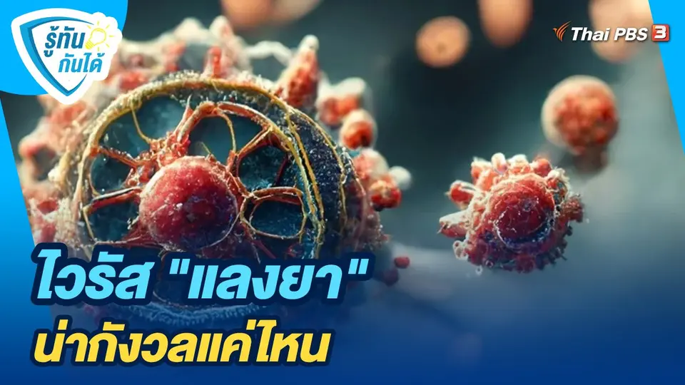 ไวรัส "แลงยา" น่ากังวลแค่ไหน