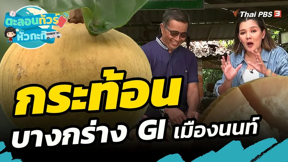 ​ตะลอนทัวร์หัวกะทิ : กระท้อนบางกร่าง GI เมืองนนท์